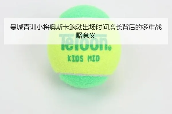 img_1779662608188_801_1_850.jpg